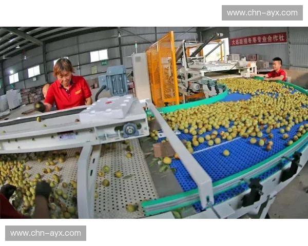 语义分析技术自动生成赛事摘要 提高内容再生产效率